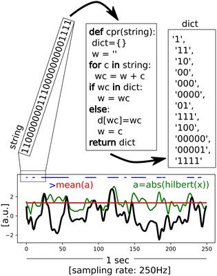 Informativeness of Auditory Stimuli Does Not Affect EEG Signal Diversity